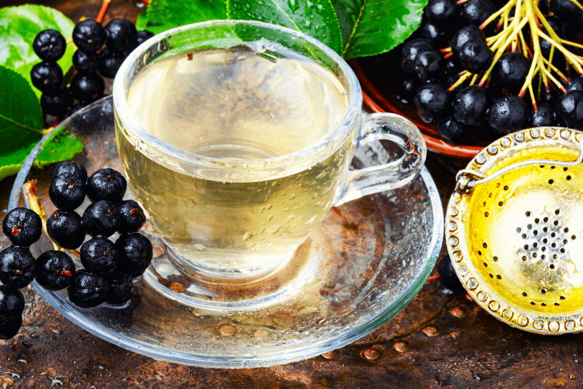Herbata z aronii: Owocowy smak natury w ekspresowym wydaniu
