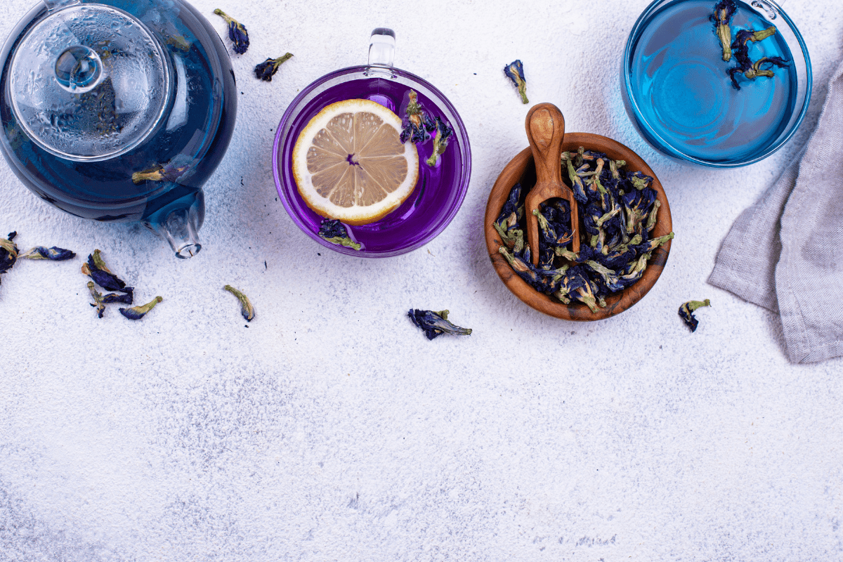 Herbata fioletowa – elegancka i pełna smaku Purple Tea z Kenii