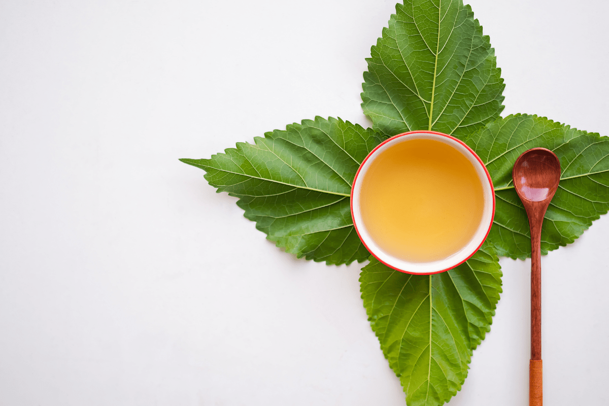 Herbata z morwy białej – cudowny napój dla zdrowia