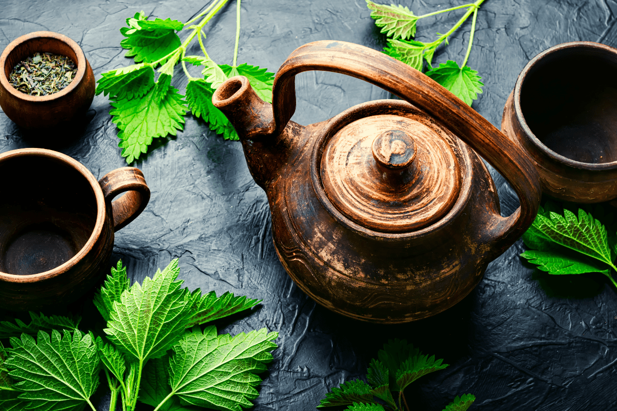 Herbata z pokrzywy – nieocenione źródło własności leczniczych i efekt dla Twojego zdrowia